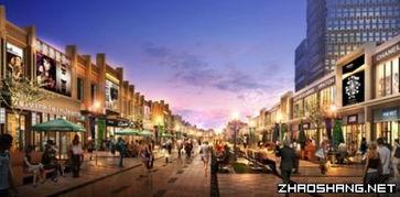 双流步行街爆料视频大全,街头风云，一网打尽